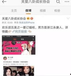 吃瓜小说娱乐圈完结推荐,瓜田里的甜蜜结局